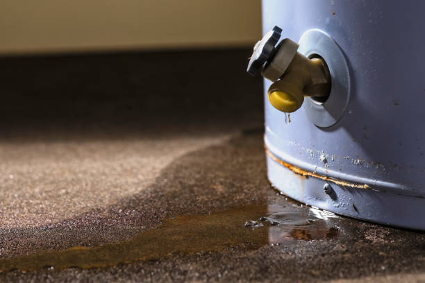 Best Professional water damage repair  in Pupukea, HI