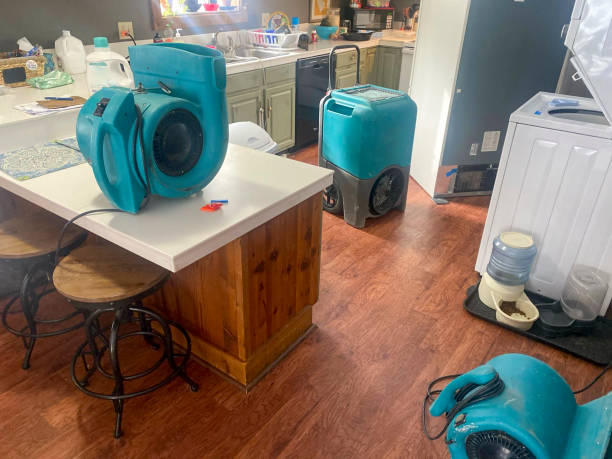 Best Water damage restoration near me  in Pupukea, HI