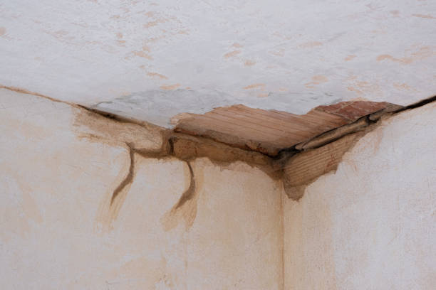 Best Commercial water damage restoration  in Pupukea, HI