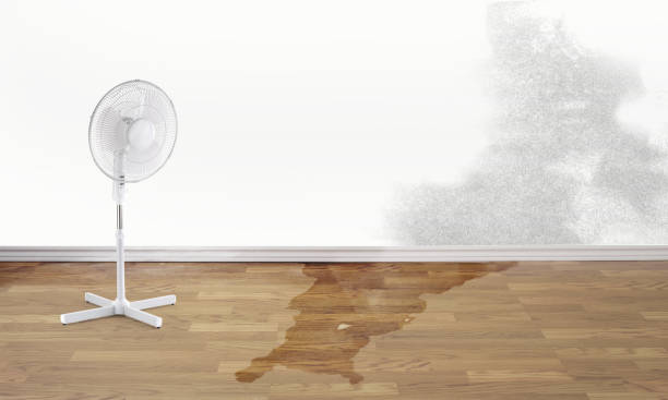  Pupukea, HI Water damage restoration Pros
