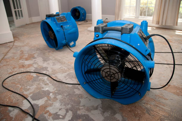 Trusted HI Water damage restoration Experts