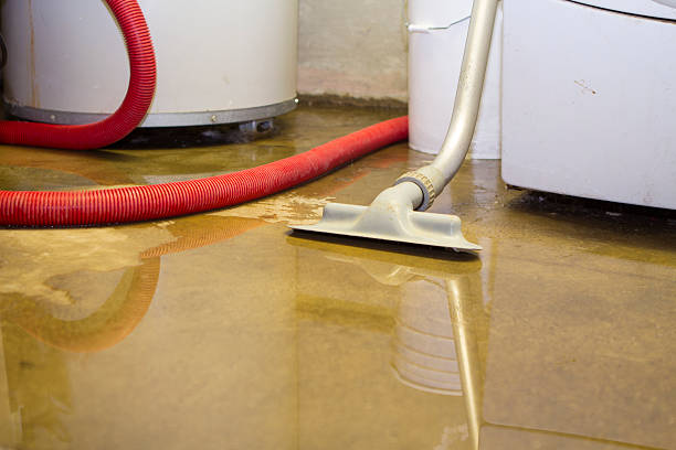 Best Flooded house restoration  in Pupukea, HI