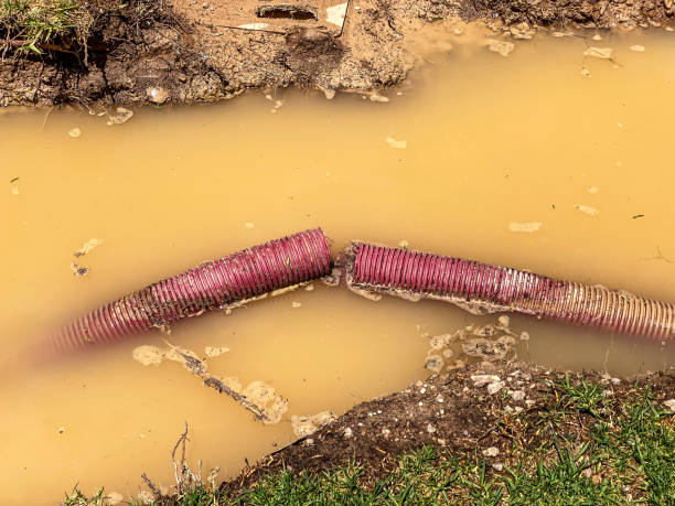 Best Water damage restoration specialists  in Pupukea, HI